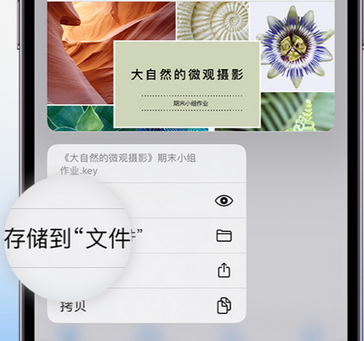 榆中apple维修中心分享iPhone文件应用中存储和找到下载文件