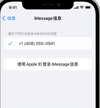 榆中apple维修iPhone上无法正常发送iMessage信息