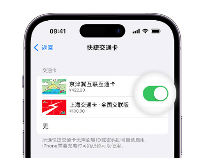 榆中apple维修点分享iPhone上更换Apple Pay快捷交通卡手绘卡面 