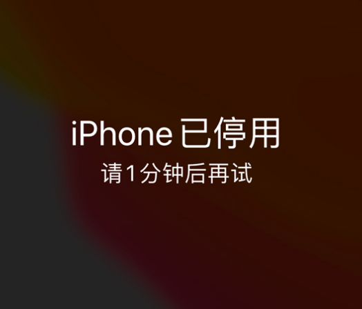 榆中苹果手机维修分享:iPhone 显示“不可用”或“已停用”怎么办？还能保留数据吗？ 