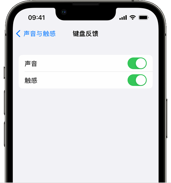 榆中苹果14维修店分享如何在 iPhone 14 机型中使用触感键盘 