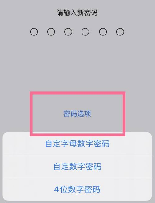 榆中苹果14维修分享iPhone 14plus设置密码的方法 