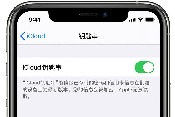 榆中苹果手机维修分享在 iPhone 上开启 iCloud 钥匙串之后会储存哪些信息 