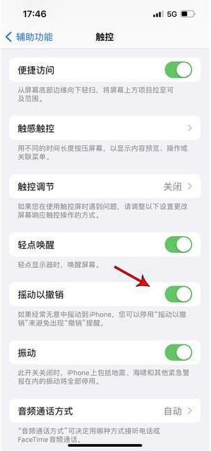 榆中苹果手机维修分享iPhone手机如何设置摇一摇删除文字 